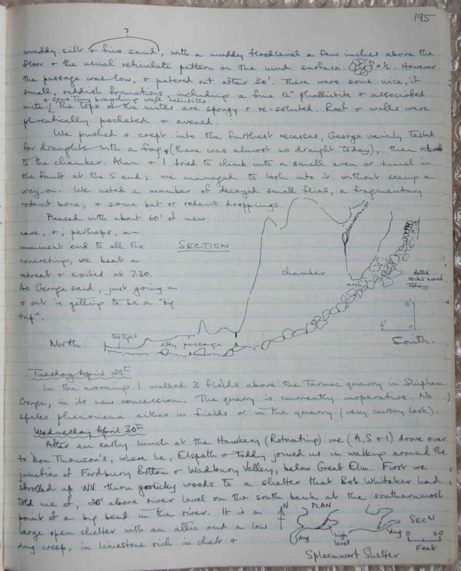 Page 195.jpg